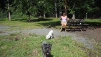 DSCN1218.JPG