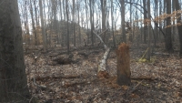 DSCN3533.JPG
