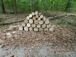 DSCN0179.JPG