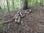 DSCN0195.JPG