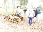 DSCN0414.JPG