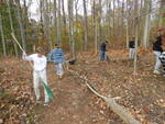 DSCN0550.JPG