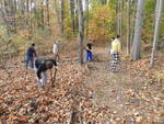 DSCN0534.JPG