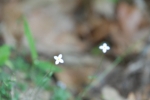 DSC_6366.JPG