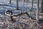 DSC_4173.JPG